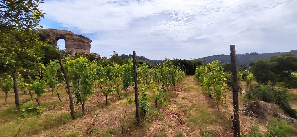 Cantine dell'Averno - Lago d'Averno