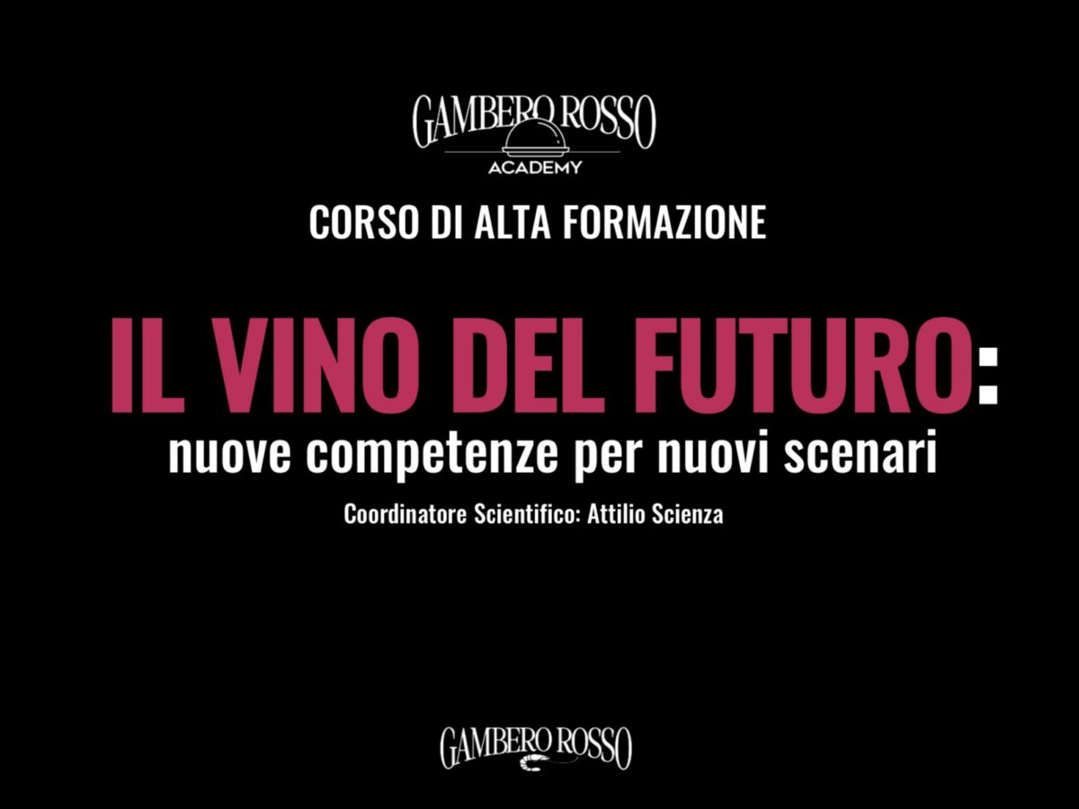 Il vino del futuro: Gambero Rosso Academy lancia l’alta formazione per i professionisti del settore