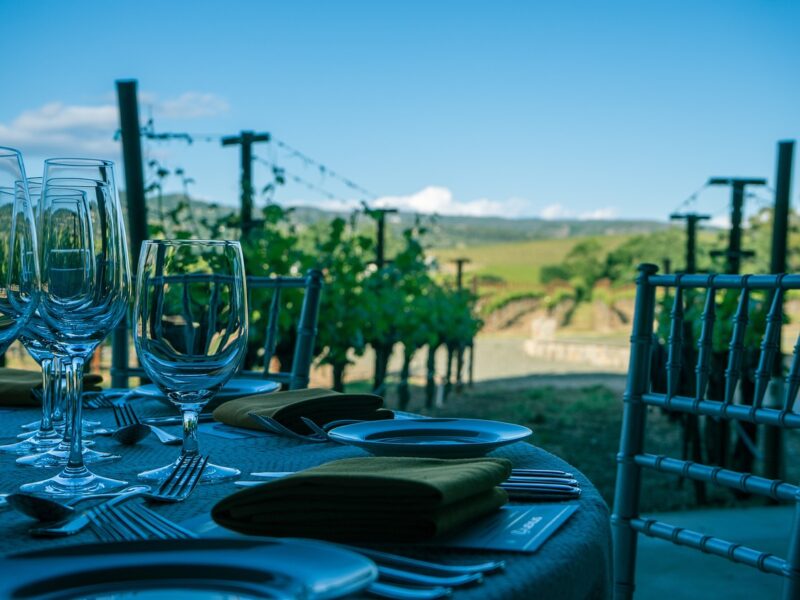 TOUR VESUVIO CON DEGUSTAZIONE DI VINO