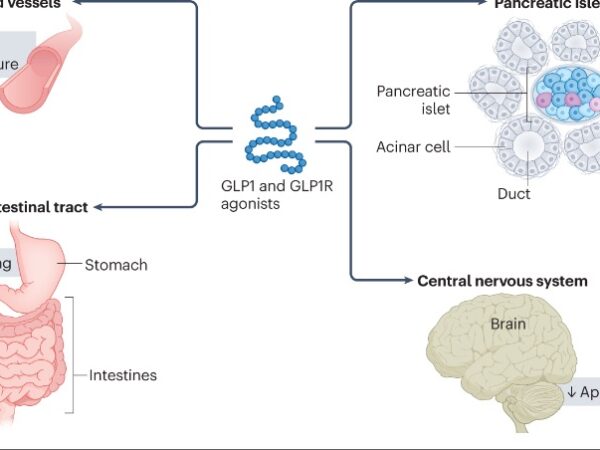 Ozempic e Wegovy: Un confronto completo e i benefici cardiovascolari della Semaglutide